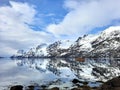 Norwegian picturesque mountans and fjord